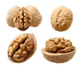 walnuts on a white background