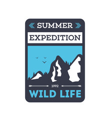 Summer expedition vintage isolated badge. Mountaineering symbol, forest explorer sign, touristic camping label, nature recreation vector illustration.