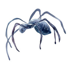 Single black spider, witchcraft watercolor illustration isolated on white.