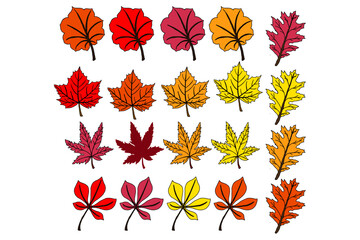 Set Of Autumn Leaf Vector