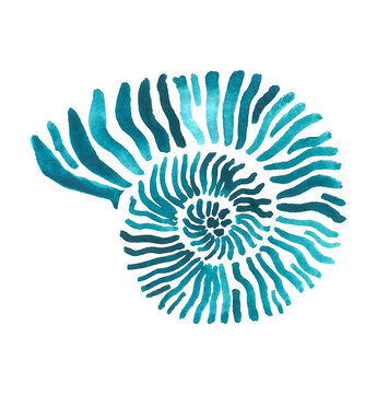 Sea shell hand drawn  set