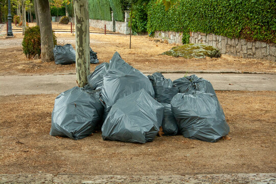 garbage bags on the ground after pruning tree branches