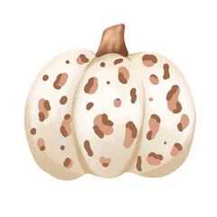 Set of autumn pumpkins and leaves in a watercolor style isolated on a white background. Pumpkins for Halloween and Thanksgiving