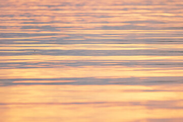 Obraz premium Sunset on the water of the Gulf of Mexico