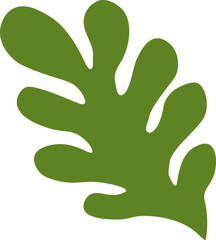 Vector illustration of green oak leaf