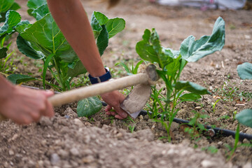 woman working in the field.