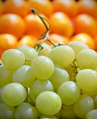 grappe de raisins verts