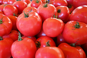 Les tomates rouges