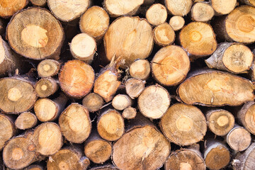 background and texture of wooden logs.