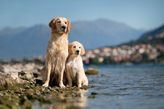 Mother and daughter