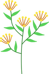 flower flat illustration