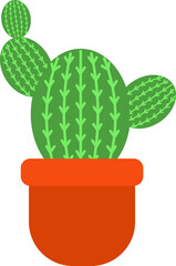 sukulent illustration