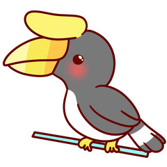 hornbill animal