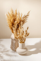 Beige set of ceramic vase with natural pampas and lagurus grass with shadows. Eco friendly natural...