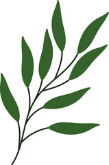 leaf flat illustration