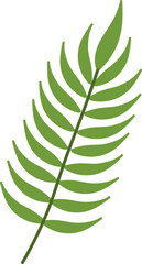 leaf flat illustration