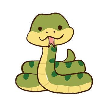 snake  