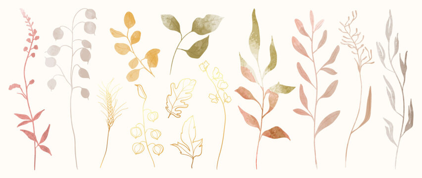 Collection of botanical elements in watercolor. Set of autumn wild flowers, barley, branches, berry, eucalyptus, leaf. Hand drawn of luxury fall foliage vectors for card, print, graphic, decorative.