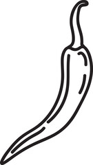 vegetable hand drawn illustration