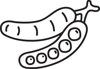 vegetable hand drawn illustration