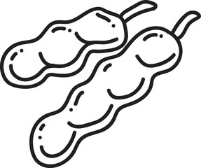 vegetable hand drawn illustration