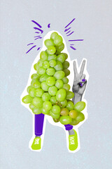 Vertical collage picture of grape human legs arm fingers demonstrate v-sign isolated on creative...