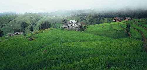Green rice terraces and huts in the rainy season