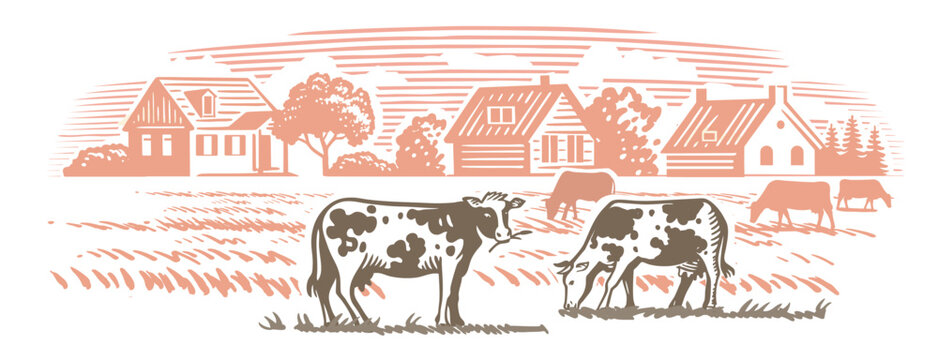 Cows on farm. Hand drawn sketch livestock