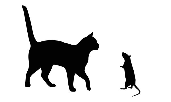 Vector isolated cat and mouse silhouette, logo, typography, decorative sticker on white background.