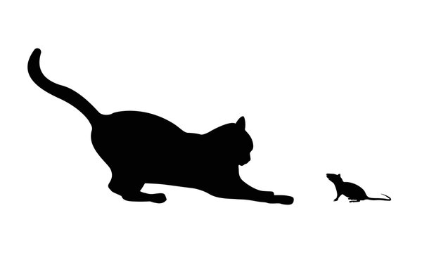 Vector isolated cat and mouse silhouette, logo, typography, decorative sticker on white background.
