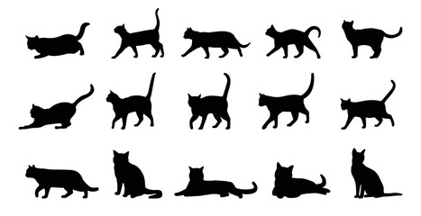 Vector isolated silhouette cat, logo, typography, decorative sticker on white background. - obrazy, fototapety, plakaty