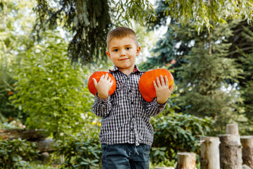 Dziecko trzyma dynie w rączkach - pomarańczowe dynie dekoracyjne na halloween - październikowe zbiory dyni na wsi