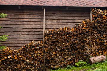 stacked firewood and dry branches. firewood for kindling stoves, barbecue. harvesting firewood for the winter. cutting down old trees. fuel