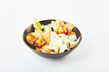 Cymbidium orchid flowers in water indark bowl on white background