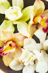 Fototapeta na wymiar Cymbidium orchid flowers in water indark bowl on white background