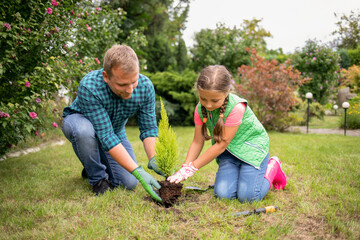 Dad and daughter planting tree together in backyard garden