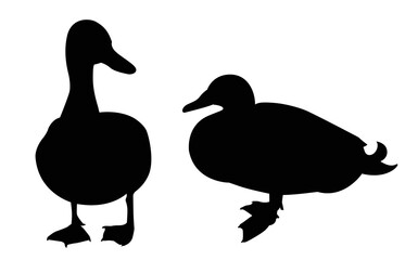 Duck black silhouette vector on a white background.Duck vector icon.the figure shows the duck.