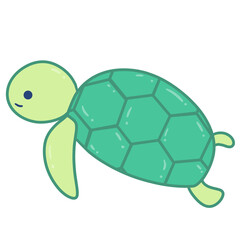 sea turtle sea animal