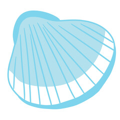 seashell sea animal