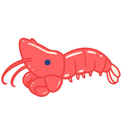 shrimp sea animal