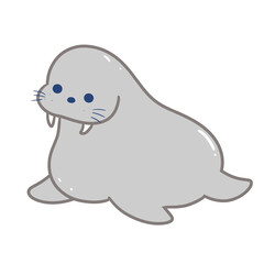 walrus sea animal