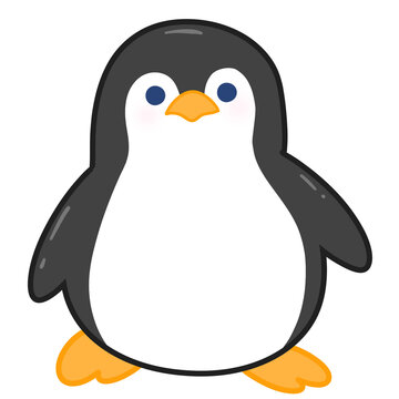 penguin sea animal