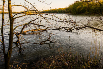 Autumn in the Łężczok bird sanctuary in Poland