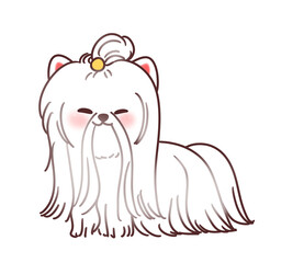 Cute dog puppy pet