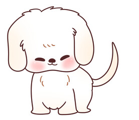 Cute dog puppy pet