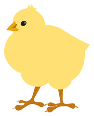Flat Vector Cartoon Chick