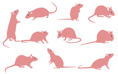Mouse as Small Rodent  Coat in Different Poses Vector Set.Mouse isolated on background.