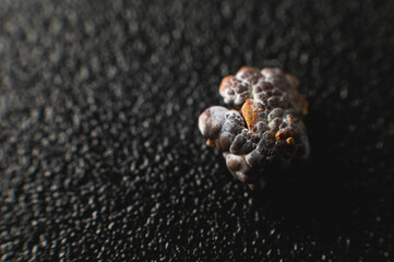 Close-up of a kidney stone. Neoplasm urolithiasis of the kidneys. nephrolithiasis - Closeup shot of a kidney stone renal calculus or nephrolith on a black porous background.