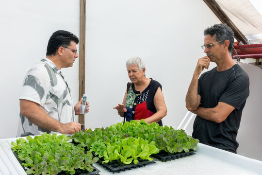 Apresenta&ccedil;&atilde;o de t&eacute;cnica de hidroponia urbana