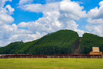 View of blue sky, white clouds and green hills and forest at outdoor reservoir